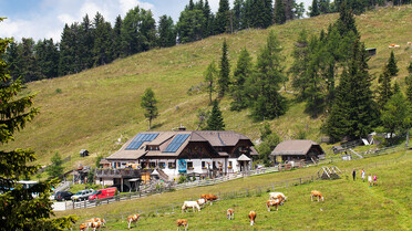 Dreiwiesenhütte | © Dreiwiesenhütte