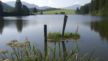 TVB Naturpark Zirbitzkogel-Grebenzen