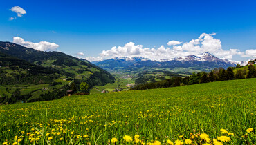 Steiermark Tourismus - Das Grüne Herz Österreichs