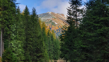 Murtaler Bergfex Martin - www.bergfexmartin.at