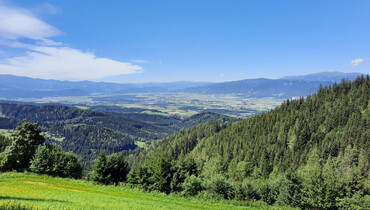 WEGES OG