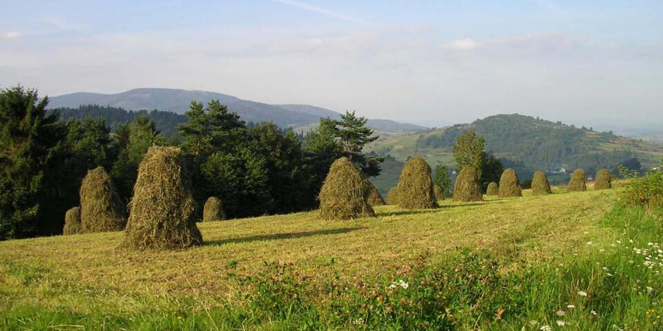 TVB Naturpark Zirbitzkogel-Grebenzen