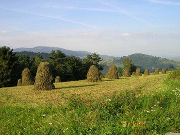 TVB Naturpark Zirbitzkogel-Grebenzen