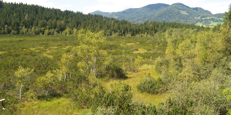 TVB Naturpark Zirbitzkogel-Grebenzen