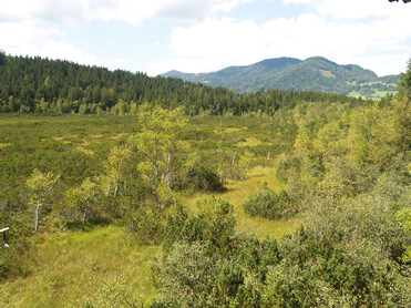 TVB Naturpark Zirbitzkogel-Grebenzen