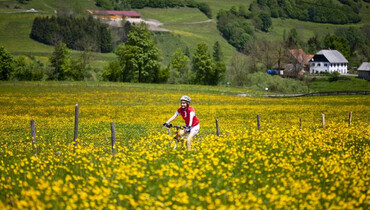 Tourismusverband Region Murau