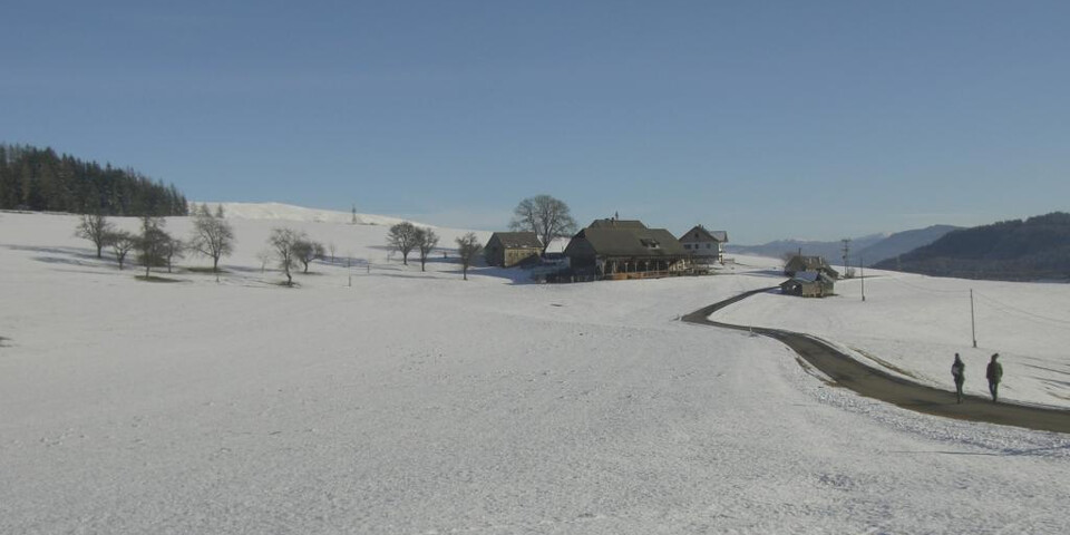 TVB Naturpark Zirbitzkogel-Grebenzen