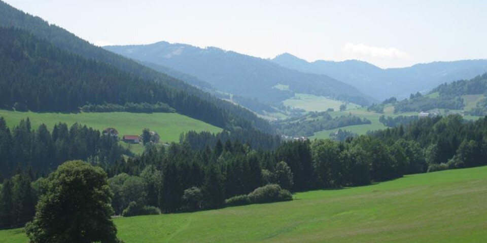 TVB Naturpark Zirbitzkogel-Grebenzen