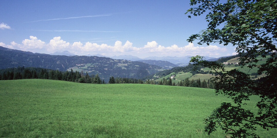 TVB Naturpark Zirbitzkogel-Grebenzen