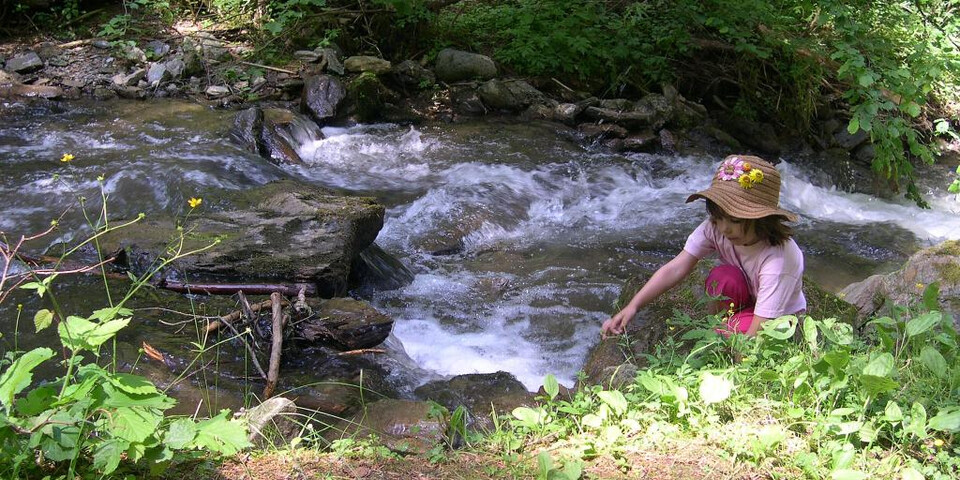 TVB Naturpark Zirbitzkogel-Grebenzen