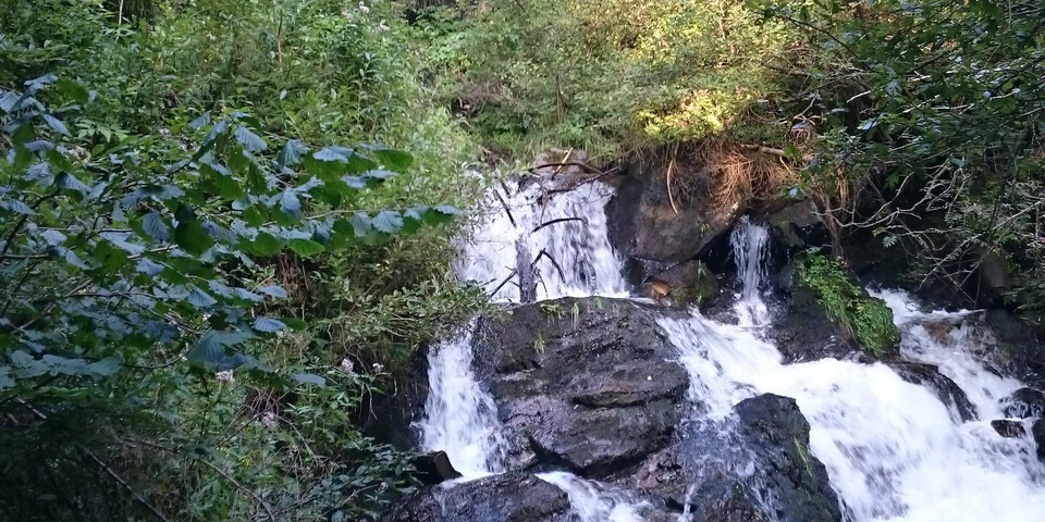 TVB Naturpark Zirbitzkogel-Grebenzen