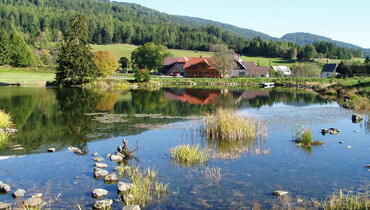 TVB Naturpark Zirbitzkogel-Grebenzen