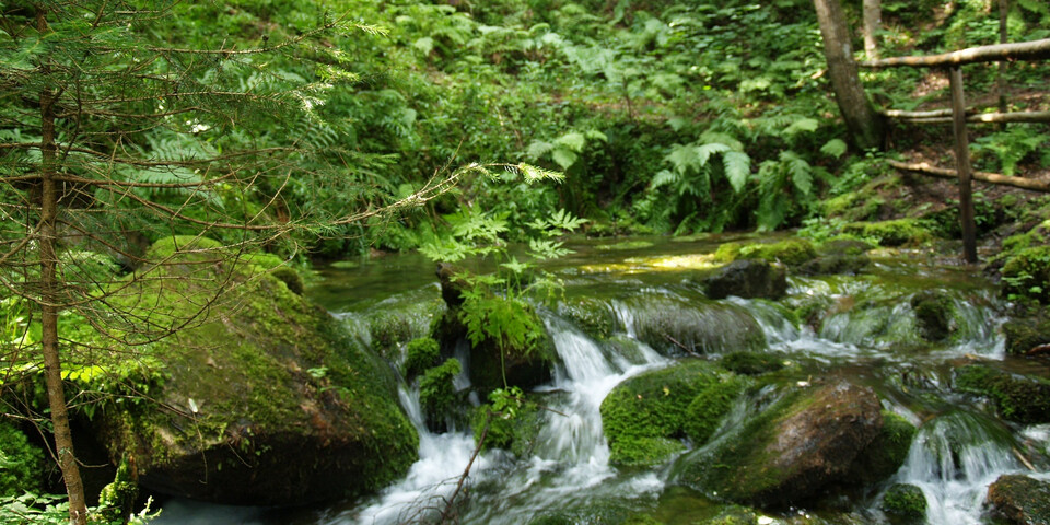 TVB Naturpark Zirbitzkogel-Grebenzen