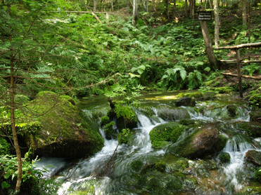 TVB Naturpark Zirbitzkogel-Grebenzen