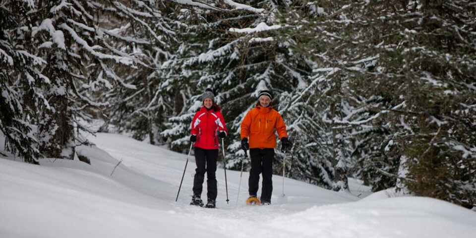 TVB Naturpark Zirbitzkogel-Grebenzen