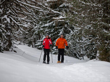 TVB Naturpark Zirbitzkogel-Grebenzen