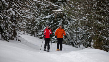 TVB Naturpark Zirbitzkogel-Grebenzen