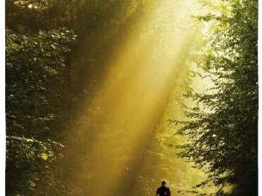 TVB Naturpark Zirbitzkogel-Grebenzen TVB Naturpark Zirbitzkogel-Grebenzen